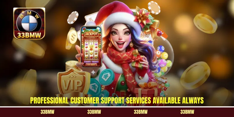 Professional customer support services available always